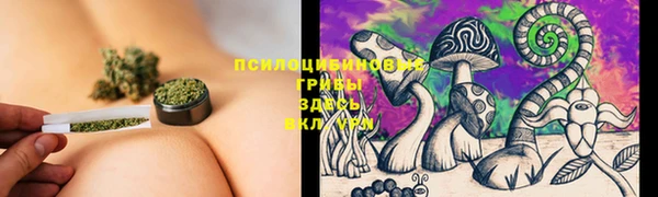хмурый Арсеньев