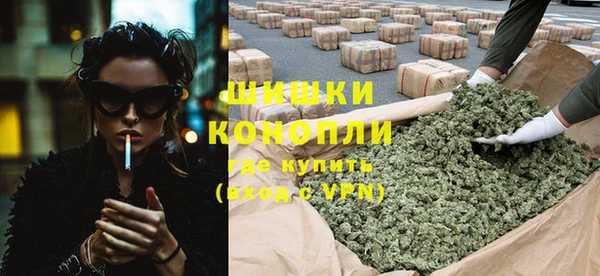 мдпв Семилуки