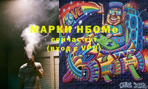 хмурый Арсеньев