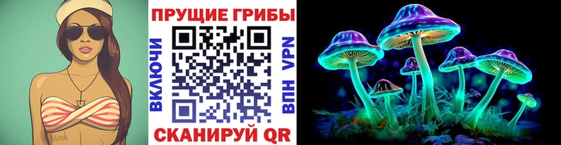 как найти закладки  Белинский  Псилоцибиновые грибы Magic Shrooms 